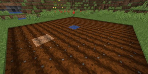 Minecraft Farmland