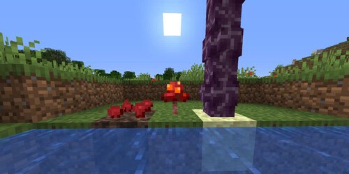 Minecraft Nether Wart Chorus Tree Fungi