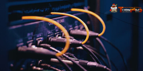 network-switch-cables.jpg