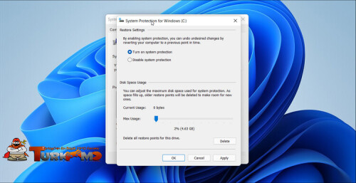 turn-on-system-restore-windows-11.jpg