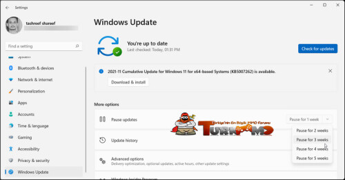 disable-automatic-updates-windows-11-pause-updates-1.jpg