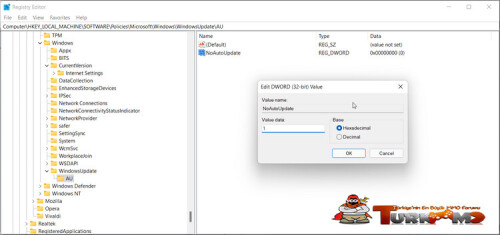 disable-automatic-updates-windows-11-registry-editor.jpg