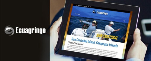 portafolio-web-ecuagringo.jpg