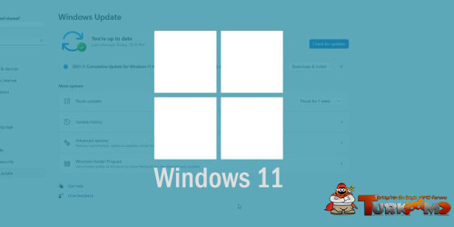 stop-automatic-updates-in-Windows-11.jpg