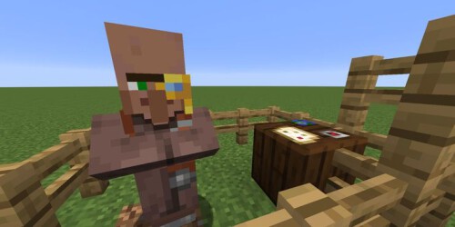 Minecraft Cartography