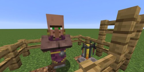 Minecraft Cleric