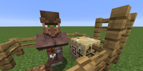 Minecraft Fletcher