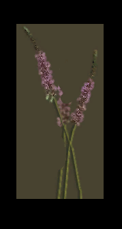 Screenshot_2.png