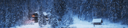 CEVO3.gif