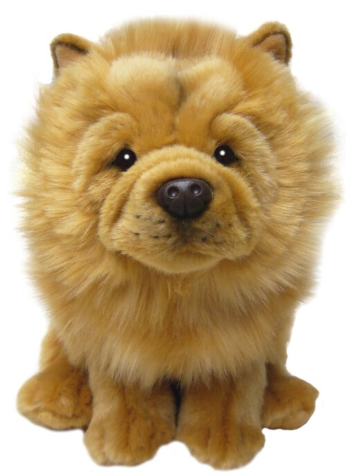 ChowChow_NEW_-FCC03_960x.jpg