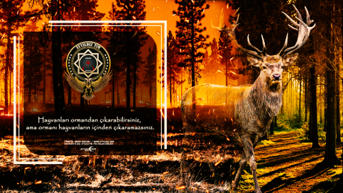 ORMAN-WGT-TASARIM-edit.png
