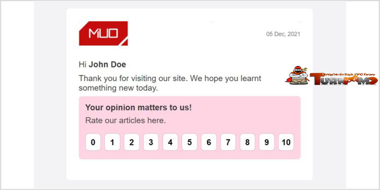 Styling-the-email-using-HTML-and-inline-CSS.jpg