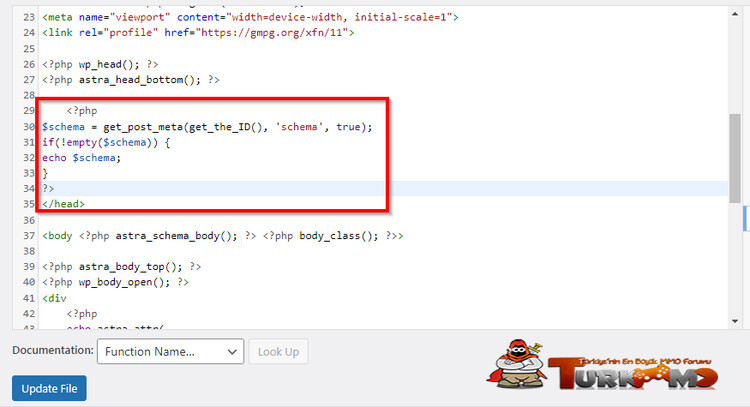 edit-headerphp-schema.jpg