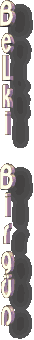 belki-birgun.gif