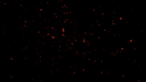 ezgif.com-gif-maker-1.gif