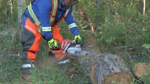 Chainsaw-Safety-640x360.jpg