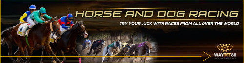 Seeking the best horse racing game random Odds? Waybet88.com is a must-visit website for horse racing fans who want to play using a certified random number generator that a world-famous gaming company has thoroughly tested. For more visit our website.


https://waybet88.com/horse-dog-racing/