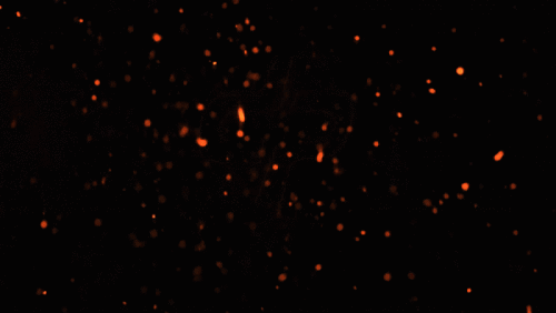 ezgif.com-gif-maker.gif