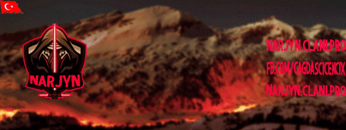 213.gif