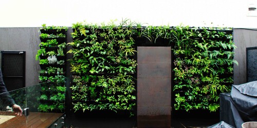 Vertical gardening is a plant-growing technique that is both environmentally friendly and effective. There are several advantages to having a Vertical Garden. Vertical Garden Melbourne offers a range of services, including stunning external vertical garden systems, exquisite internal vertical garden systems, and light availability in the surrounding area.
Visit-
https://gardenmore.com.au/vertical-garden-2/