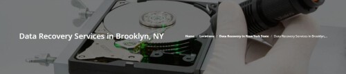 PITS Global Data Recovery Services provides Brooklyn with a complete set of data recovery services, including hard drive data recovery, RAID repair, SSD data recovery, and flash data recovery. We provide businesses and individuals of the city with high-quality data recovery services using state-of-the-art technology.


https://www.pitsdatarecovery.net/locations/new-york/brooklyn/