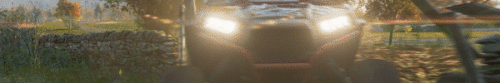 ForzaHorizon4_AboutSectionGIF_3_600x100.gif