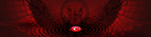 SITE-BASKGRAOUND-3.png