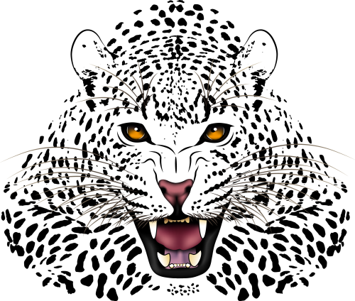 leopard-jaguar-cheetah-black-panther-vector-hand-painted-cheetah-a1021828272c8e6d4749ff20444b2a23.png