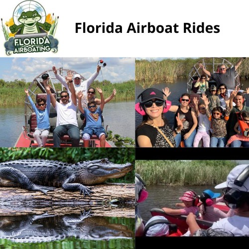 Searching for private everglades tour? Floridaairboating.com is a renowned platform that provides private everglades airboat tours. We'll make sure you have directions and other preparations all ready to go. For more info visit our site.

https://www.floridaairboating.com/