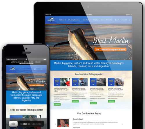 diseno-web-dispositivos-moviles-guayaquil-01-1.png