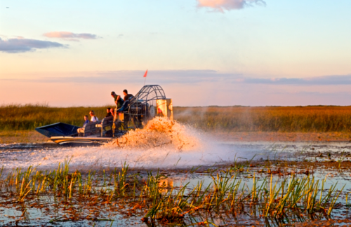 The-River-of-Grass-Everglades.png