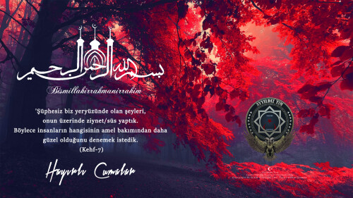 CUMA-11-edit.jpg