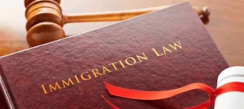 Immigration-Law-1-800x358.png