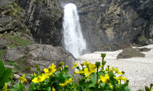 Interested to know how to reach the valley of flowers? Valleyofflowers.info is a prominent online resource that provides detailed information to get the valley of flowers. We assist you to tell accurate distances and time for travel and trek. Please explore our site for more info.

https://valleyofflowers.info/how-to-reach-valley-of-flowers/