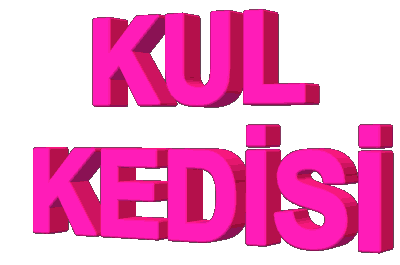 DRTT.gif