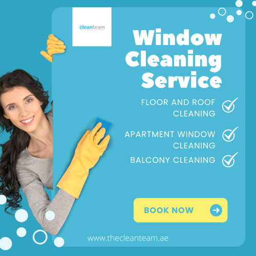 WINDOW CLEAN