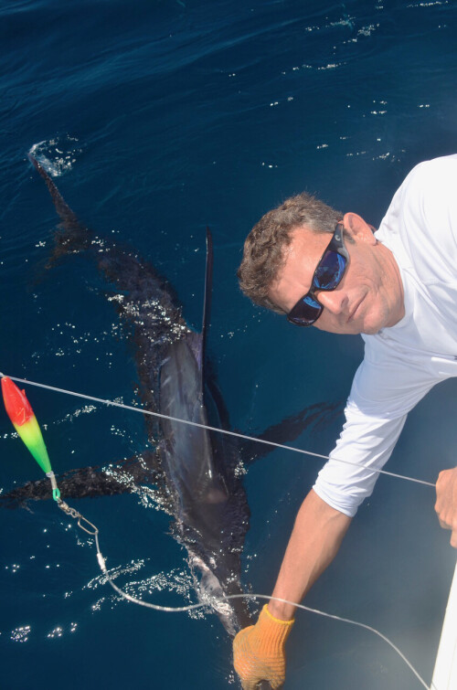 marlin-trophy.jpg