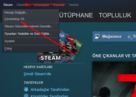 Steam-Cevrimdisi-Mod.png