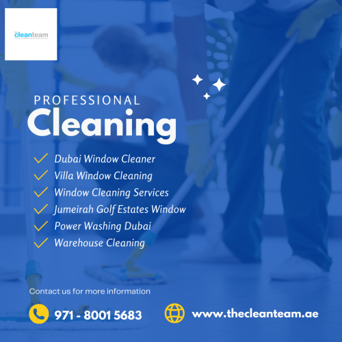 window clean team