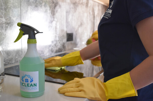 Finding for End of Tenancy Cleaning in St Albans? End of Tenancy Cleaning Services are available at Ibcleansolutions.co.uk. Because of our reasonable costs and high-quality service, our customers are entirely delighted. Visit our site for more info.

https://ibcleansolutions.co.uk/end-of-tenancy-cleaning-st-albans/