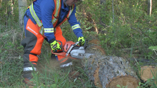 We offer chainsaw safety training course, Chainsaw Safety Course & certification online which helps in understanding basic chainsaw safety relating to tree felling, trimming, disaster clean-up and forestry. Sign up today!

https://safetraining.com/course/chainsaw-safety-online-course/