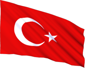 TURKBAYRAGI.gif