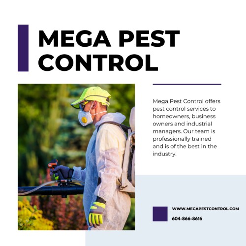 Mega Pest Control offers the Carpet-Beetles Control Services in Canada. Get the best pests controlling services at the lowest cost in entire British Columbia. Call at 1 (888) 688-1048 now.


https://megapestcontrol.com/pest-category/carpet-beetles/
