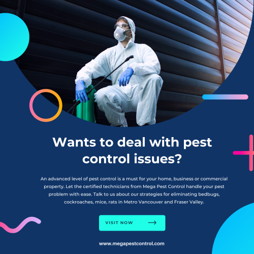 Mega Pest Control is the best solution provider for ants control in Surrey, Langley & Abbotsford. We deal with all types of ants with latest tools & techniques. Call now!

https://megapestcontrol.com/pest-category/ants/