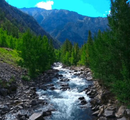 At Explorer Tours, we offer best day trips and hiking tours in Denver. We provide amazing daily and private sightseeing tours in Colorado. Feel free to reach us at (720)556-6164 or via email at info@denver-tour.com.

https://denver-tour.com/