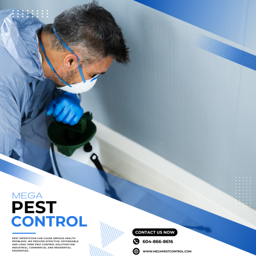 Mega Pest Control offers the Bald-faced Hornet Control services in Vancouver. Get the best pests services at the lowest cost and tips for preventing a bald-faced hornet infestation. Call at 604-866-8616 now.

https://megapestcontrol.com/pest-category/bald-faced-hornet/
