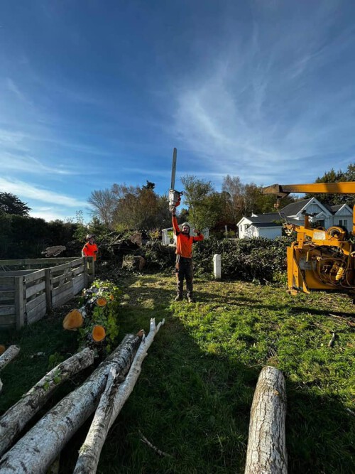 Looking for someone to Hedge Trimming in Rangiora or Tree Pruning in Rangiora then you can hire the experts from proarbcanterbury.kiwi. They are also providing services of Tree Topping and Tree Trimming service in Rangiora. Visit their website for more information

https://proarbcanterbury.kiwi/stump-grinding-removal-canterbury/