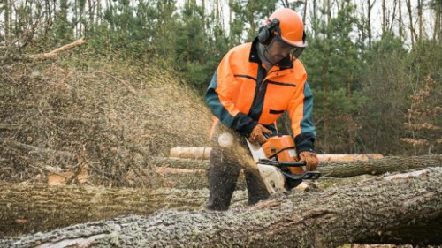 We offer chainsaw safety training course online which helps in understanding basic chainsaw safety relating to tree felling, trimming, disaster clean-up and forestry. Sign up today!

https://safetraining.com/course/chainsaw-safety-online-course/