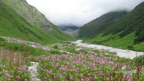 Want to visit the valley of flowers? Valleyofflowers.info is a renowned platform that offers the most beautiful trip to the lap of nature and renders service with smart packages. For further details, please get in touch with us.

https://valleyofflowers.info/