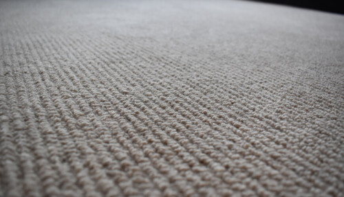 Expert-Carpet-Cleaning.jpg